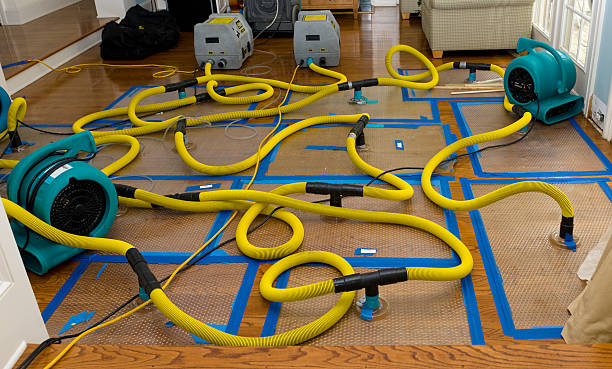 Professional Water Damage Repair technician working in Calhoun, GA